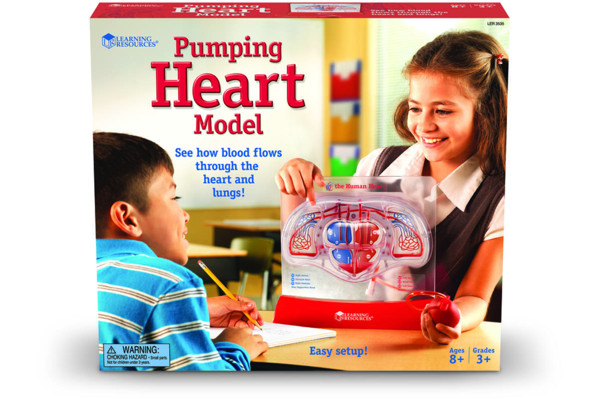 Pompend hart model