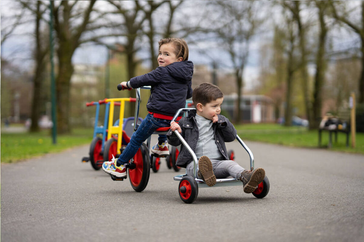 Strijdwagen maxi verzinkt - Gecoat Antraciet RAL 7016