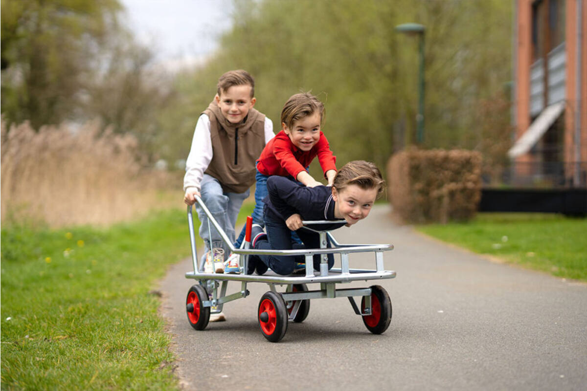 Stuurduwwagen midi gegalvaniseerd