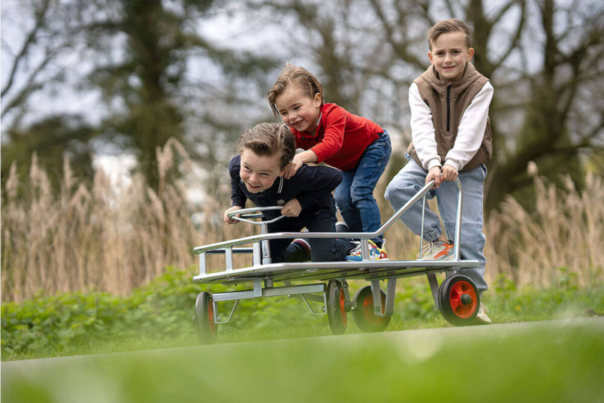 Stuurduwwagen midi gegalvaniseerd