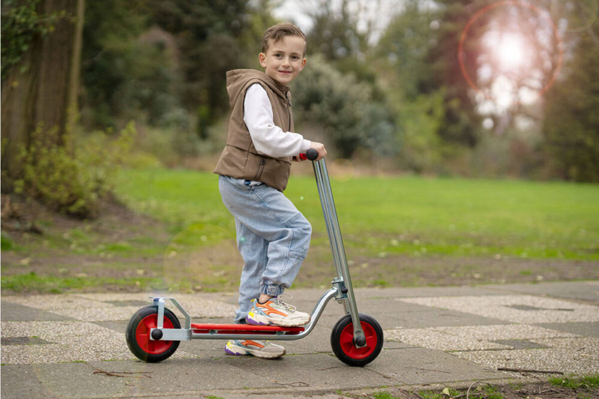 Ministep gegalvaniseerd