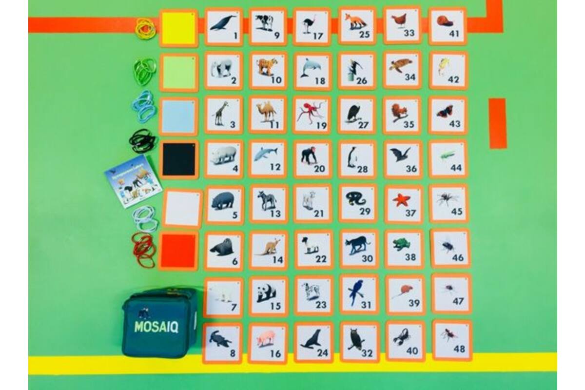 MosaIQ