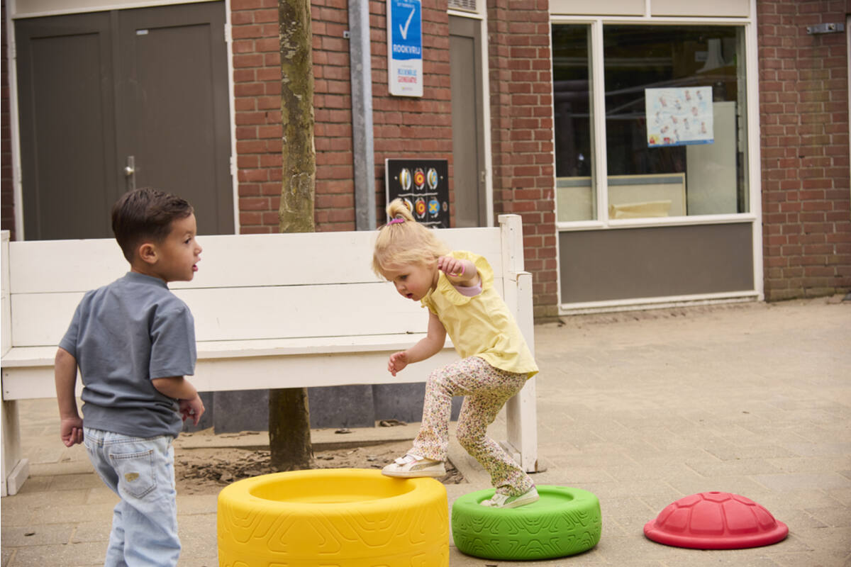 Turtlegym met 3 motorische wielen