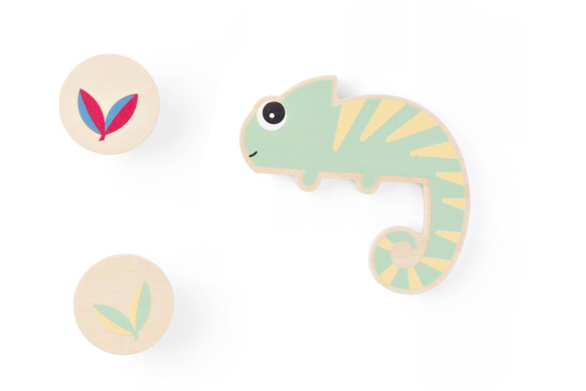 BS | Kameleon Kleur Race