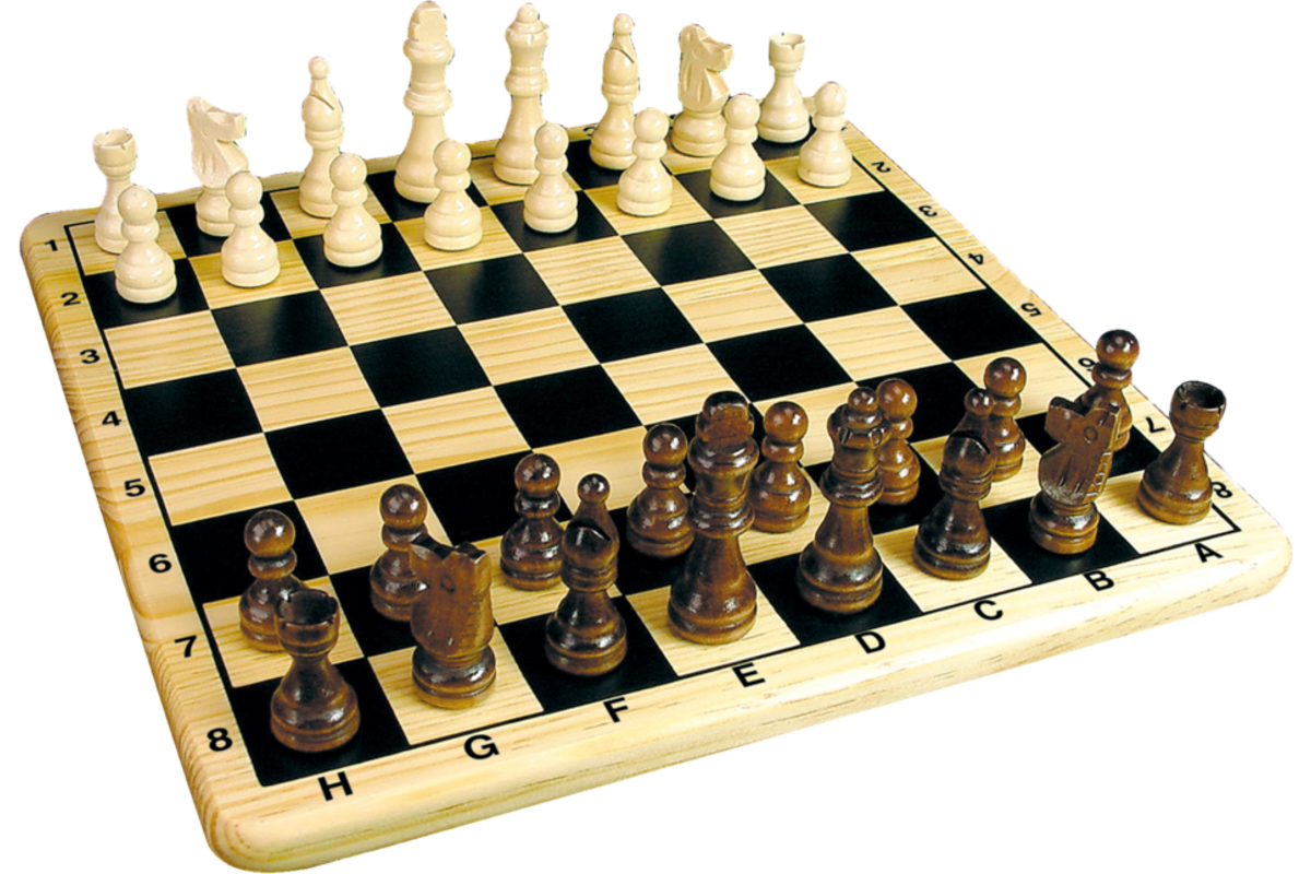 Schaakspel compleet 30 x 30 cm