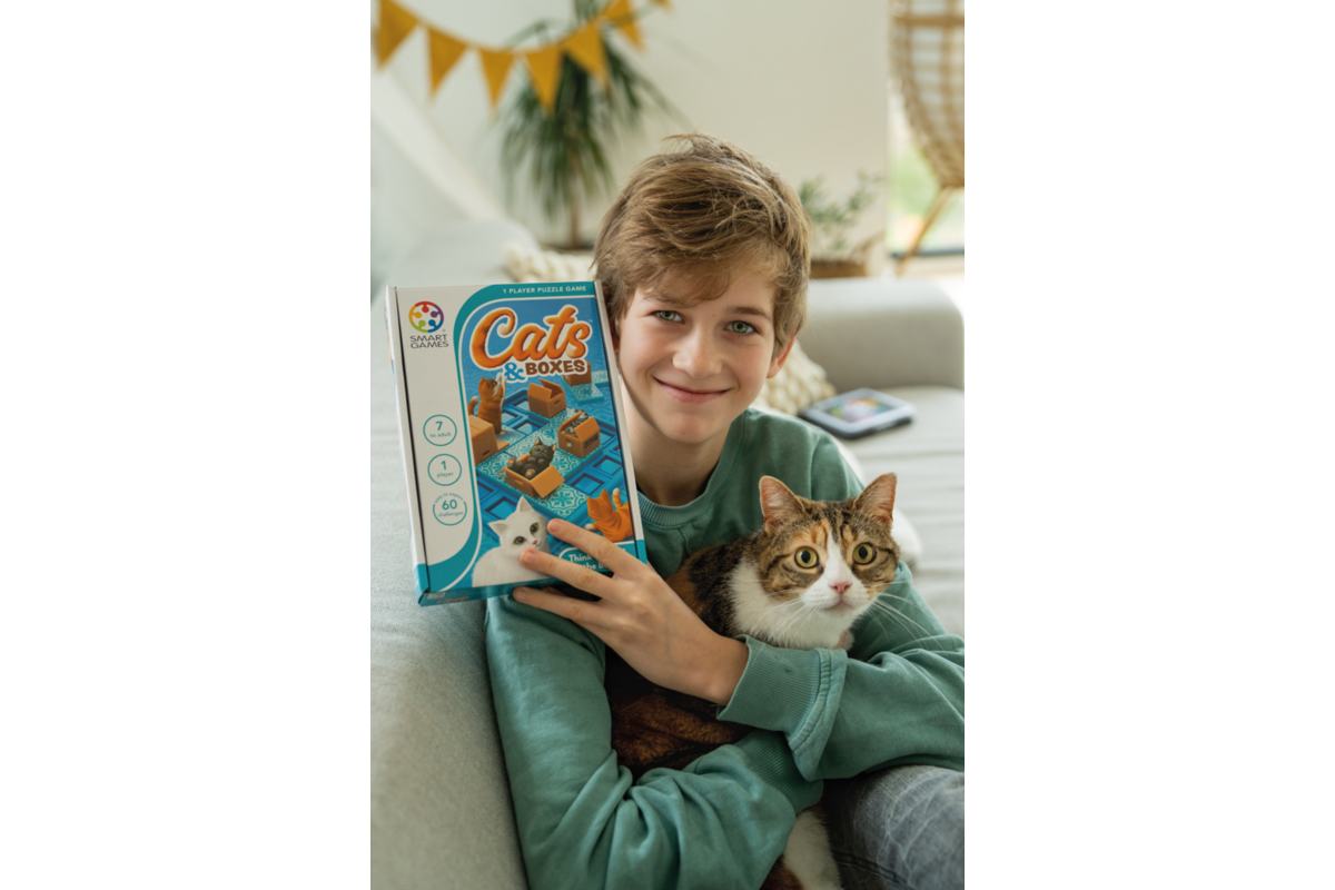 Cat & boxes
