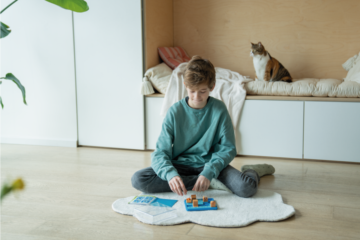 Cat & boxes