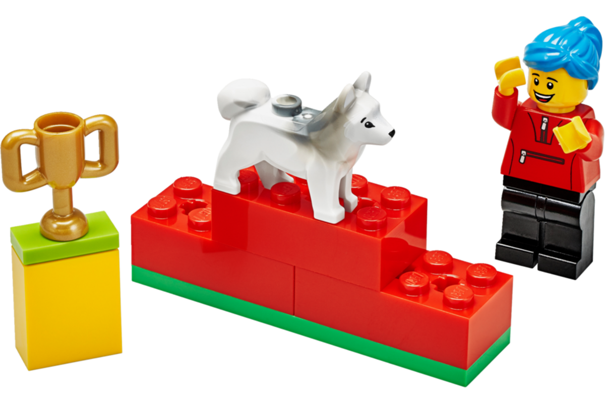 LEGO® Education 45401 BricQ Motion Essential Set