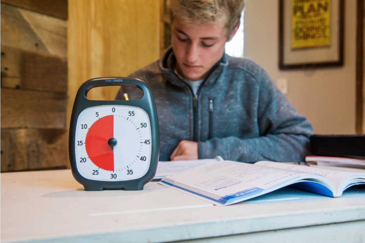Time timer plus