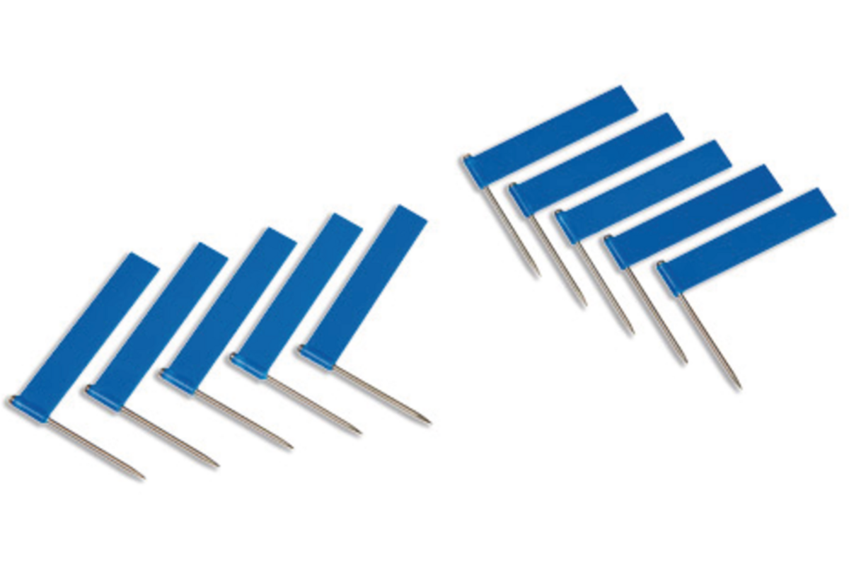 Extra vlaggen 10 stuks blauw