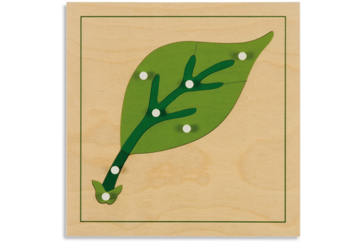 Botanische puzzel blad