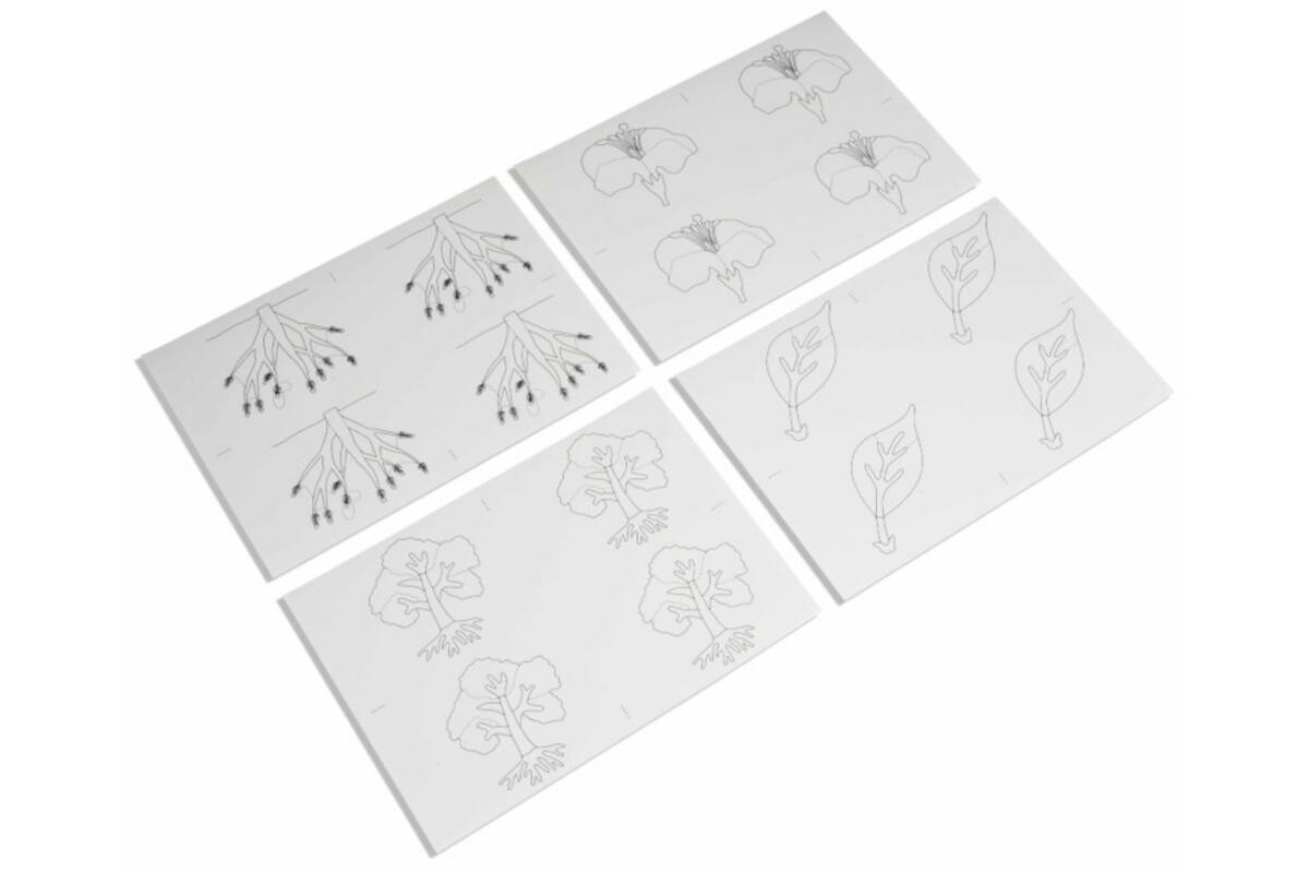 Kopieerkaarten voor botanische puzzels