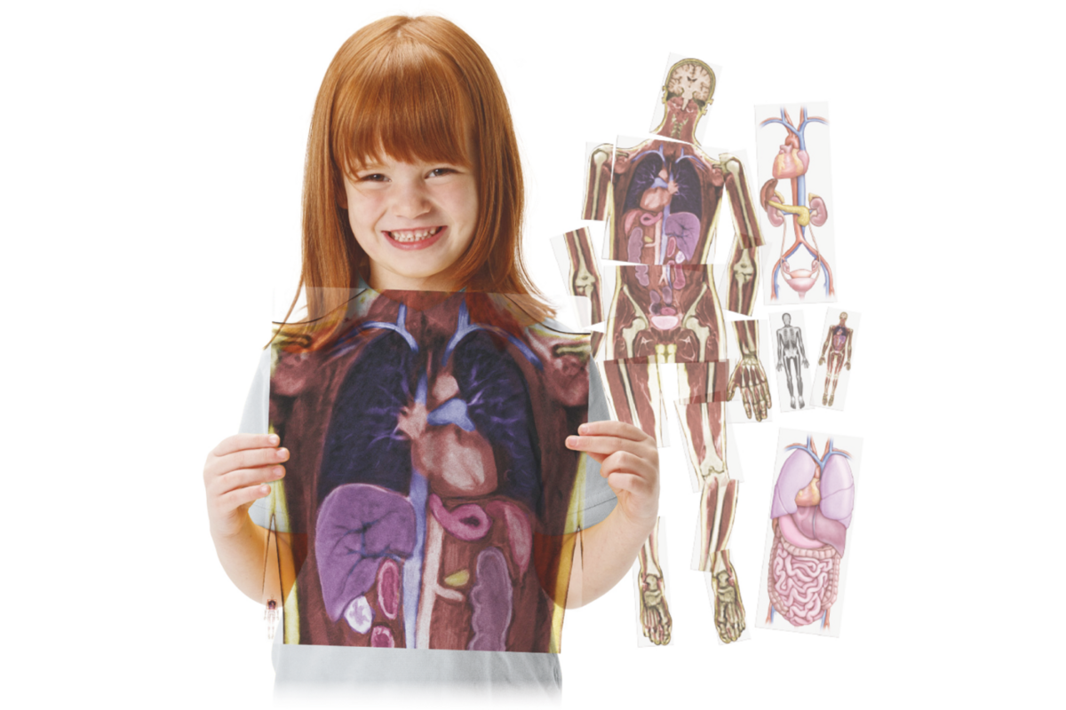 MRI-scan lichaam