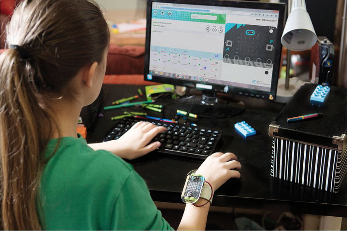 BBC Micro:bit Go Bundel v2