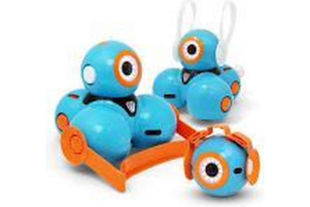 Dash Wonderpack