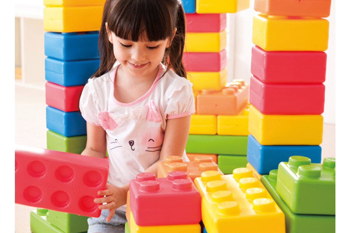 Bouwset - Brikkies - set van 45 assorti