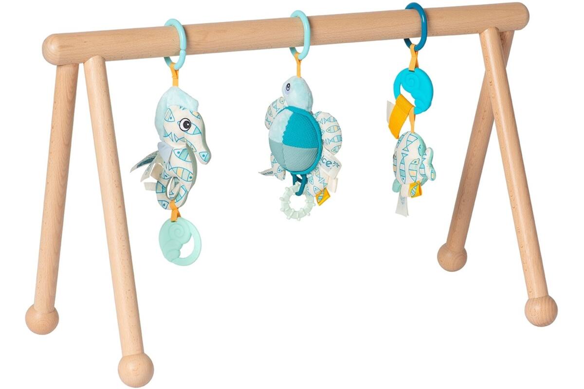 Babygym Ocean