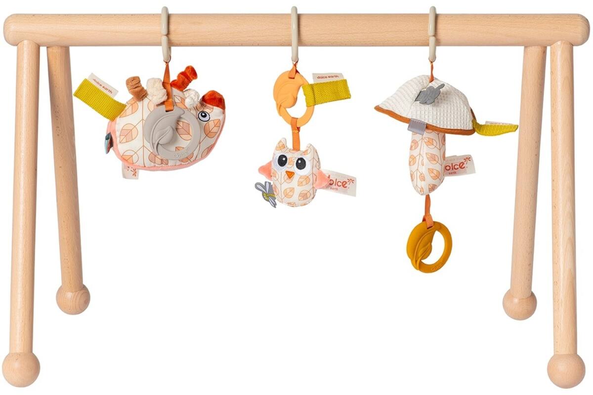 Babygym Earth