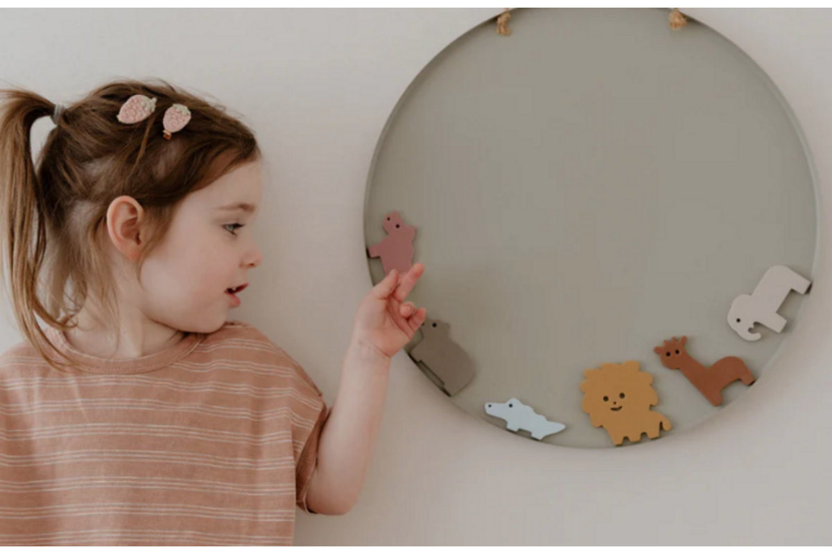 Magnetic Safari Animals