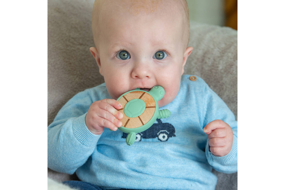Schildpad bijtring (neutraal)