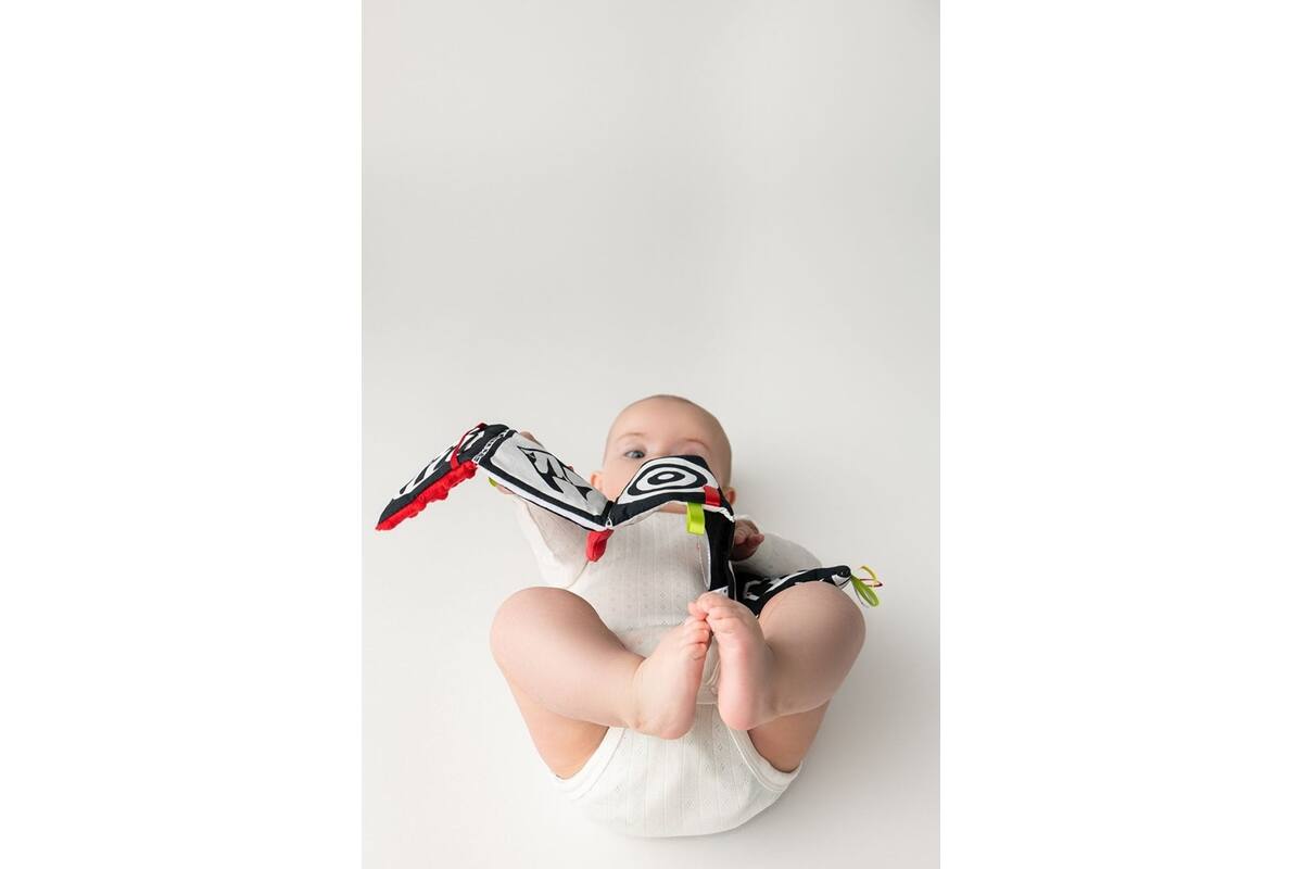 Soft baby toys - Soft book Red