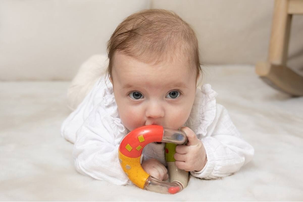Tolo Bio Twist and Turn Rattle