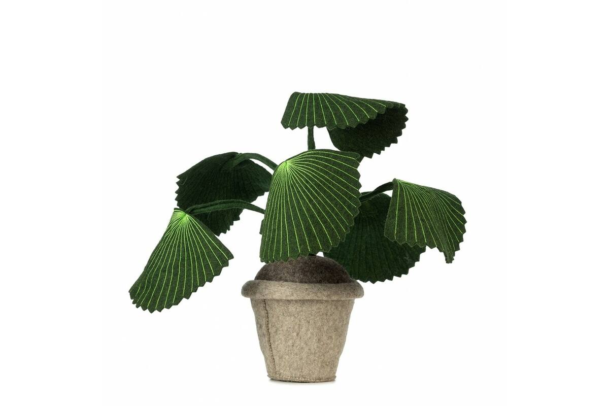 Plant van vilt, Pebbe