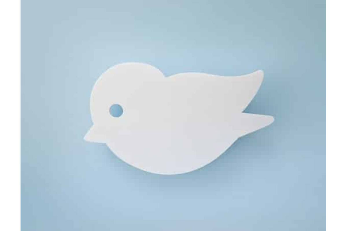 Acoustic Bird