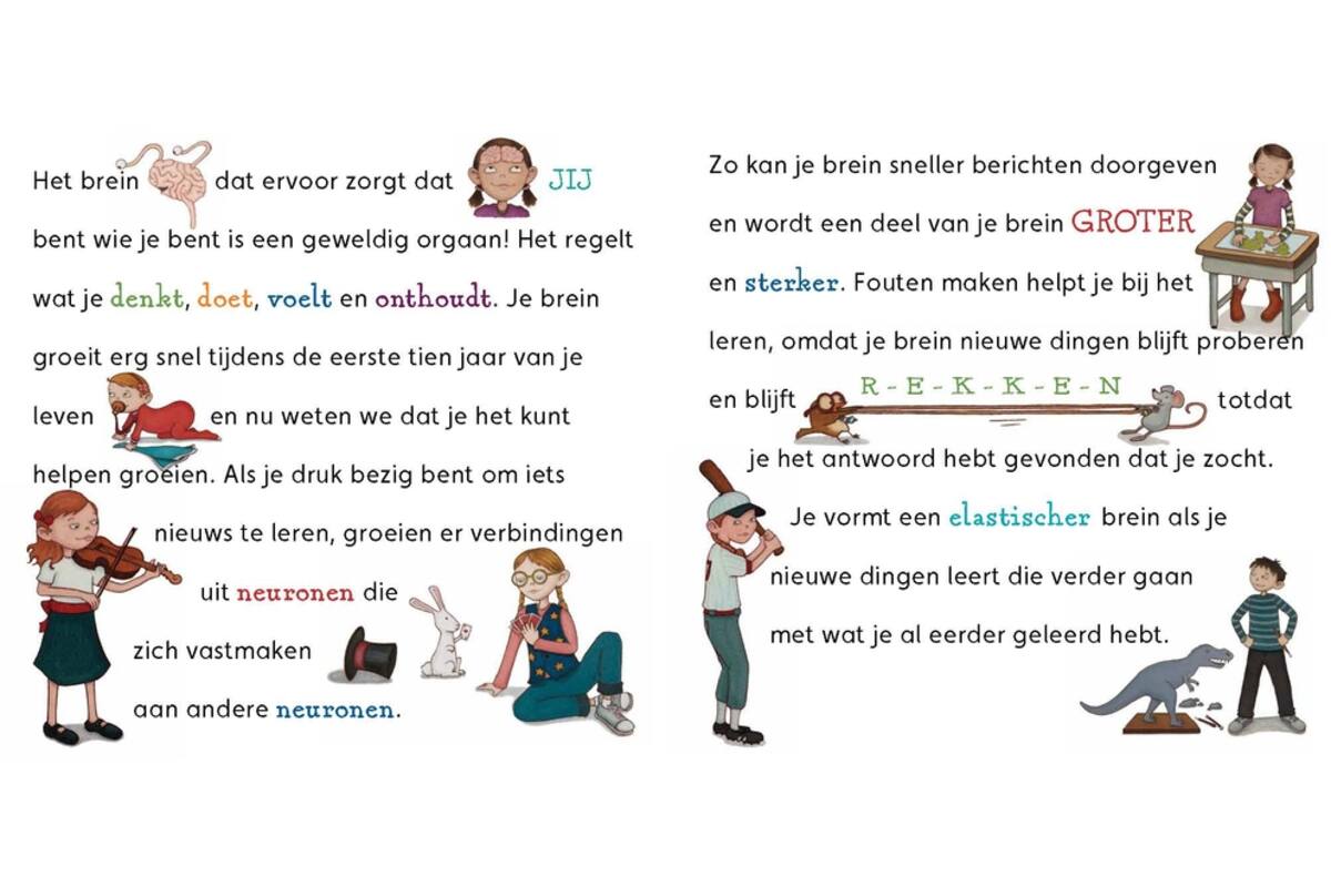 Je Fantastische Elastische Brein
