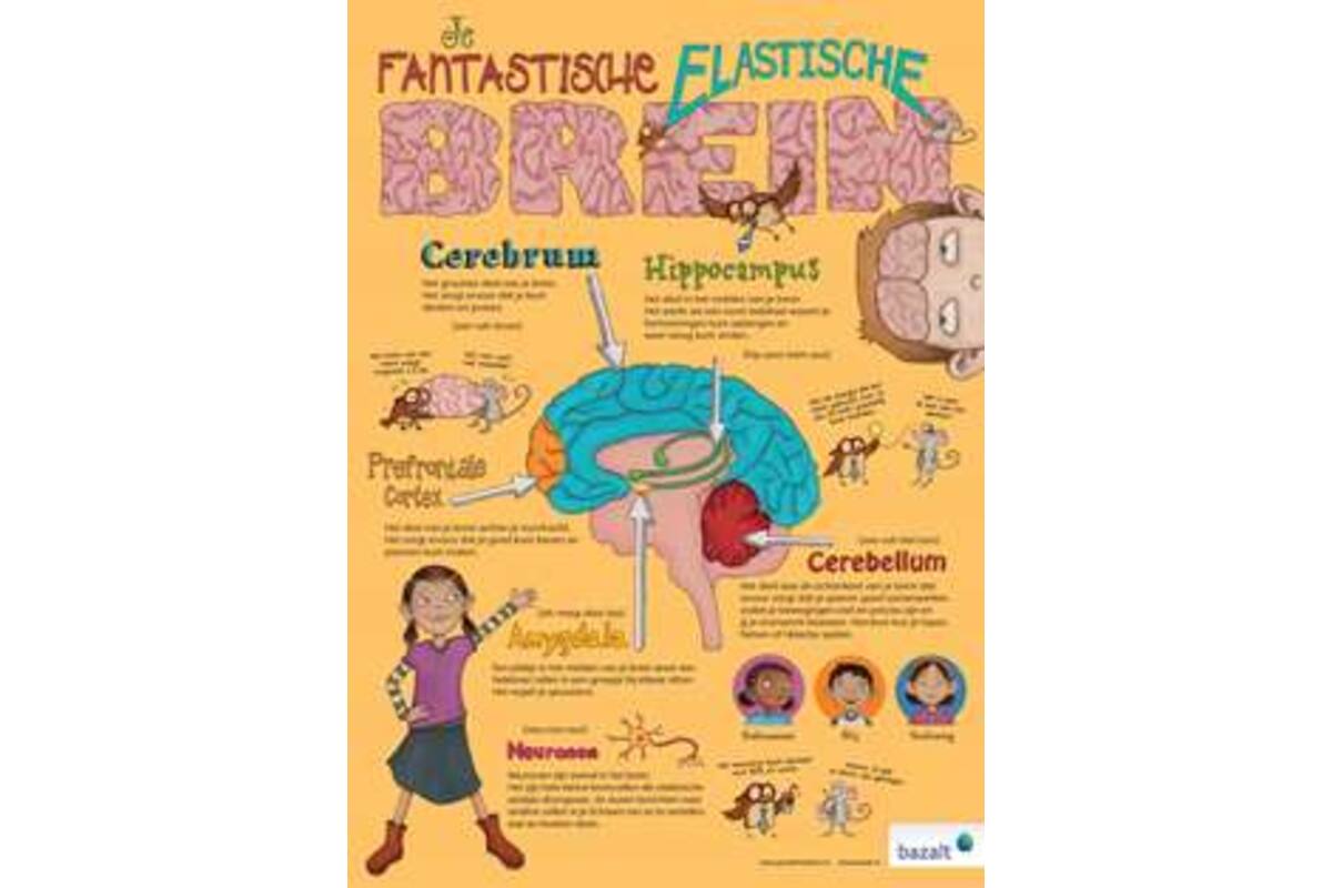 Poster Je Fantastische Elastische Brein (set van 5)