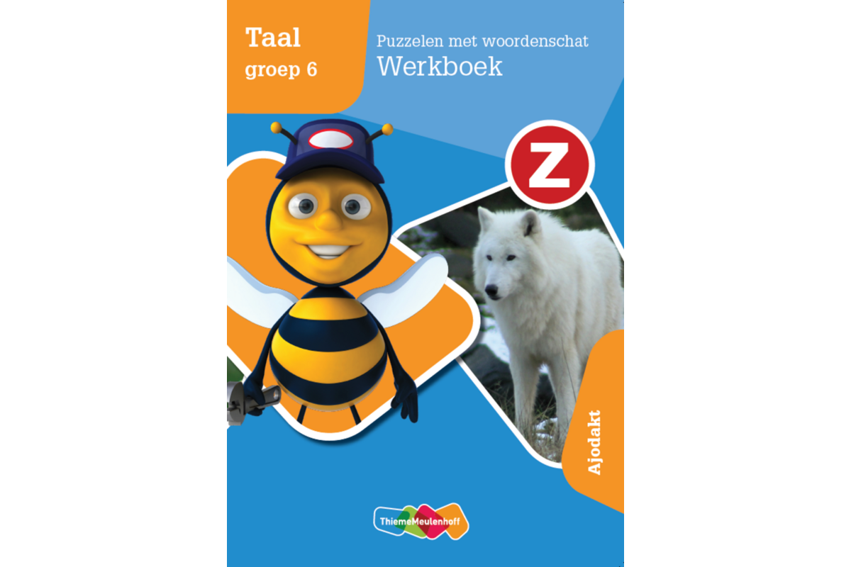 Z-Taal groep 6 - Puzzelen met woordenschat Werkboek - Ajodakt
