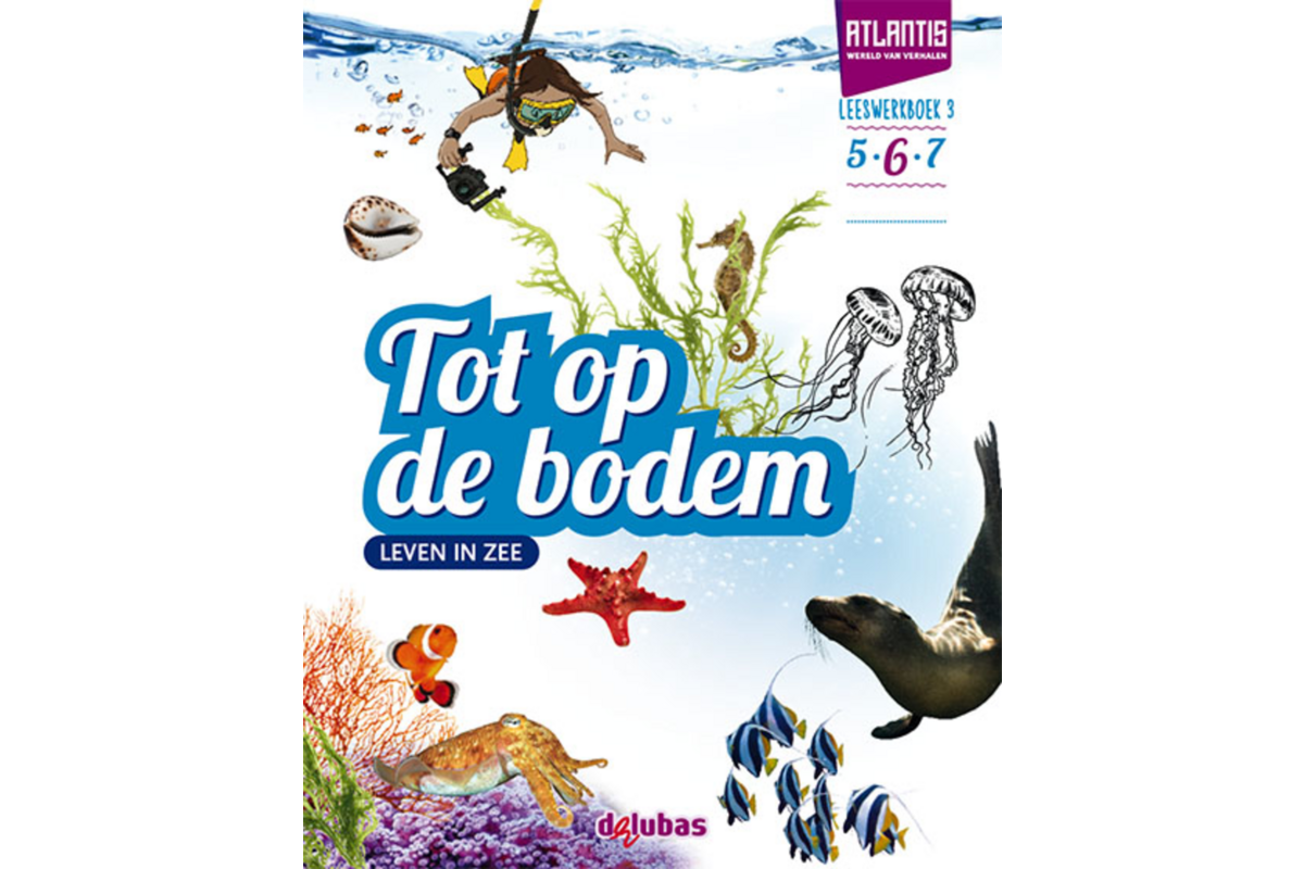 Atlantis leeswerkboek 3 groep 6 (5 stuks)