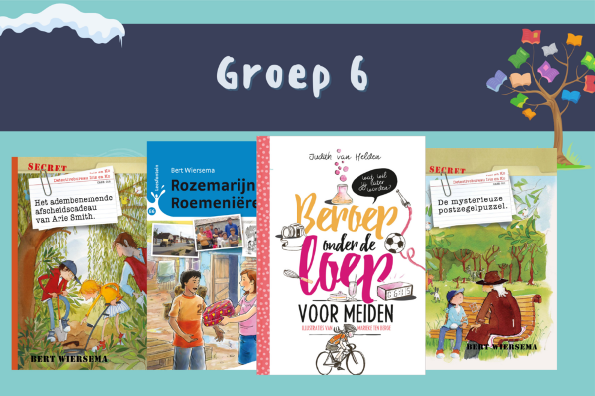 Winterleespakket M6/E6 gr 6: 4 boeken