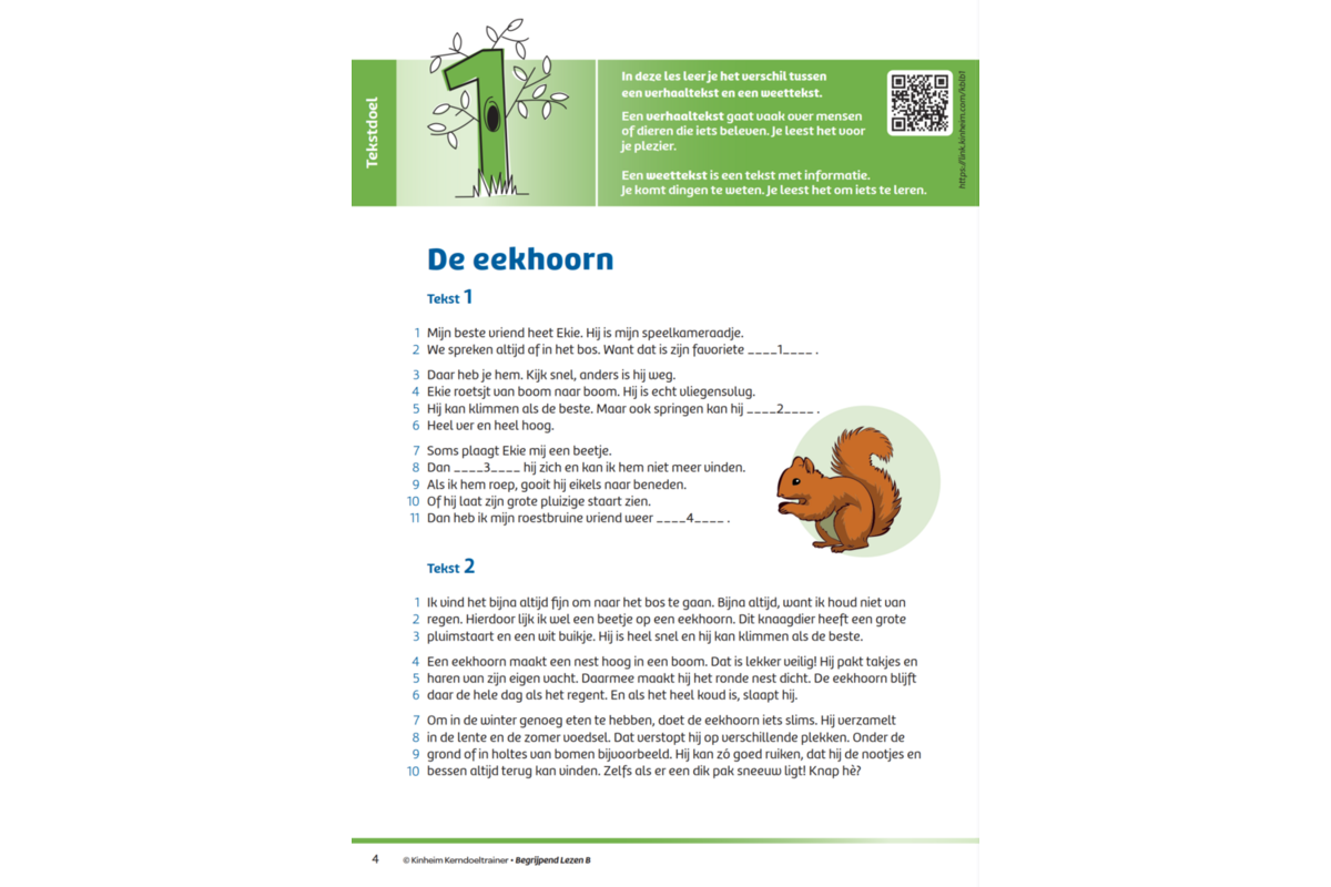 Kerndoeltrainer Begrijpend Lezen B (5 stuks)
