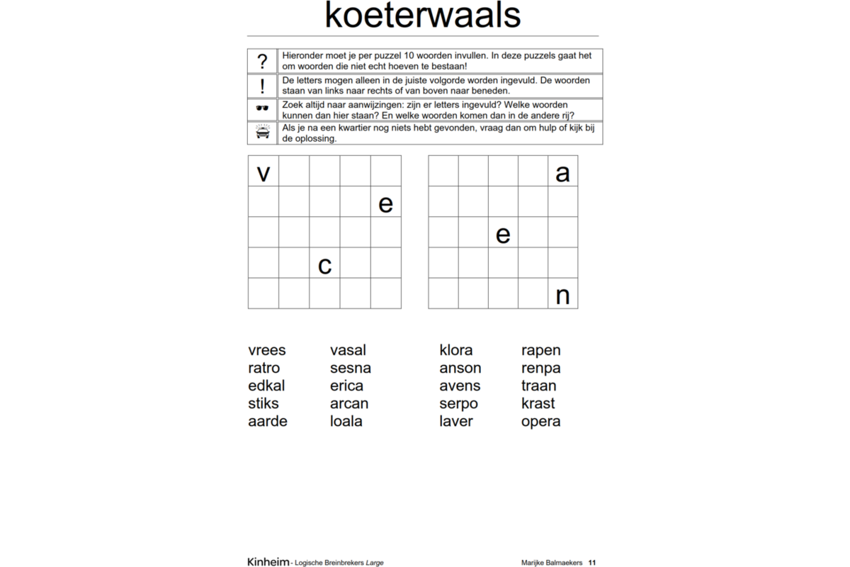 Logische breinbrekers large (5 stuks)