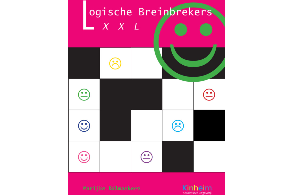 Logische breinbrekers XXL (5 stuks)