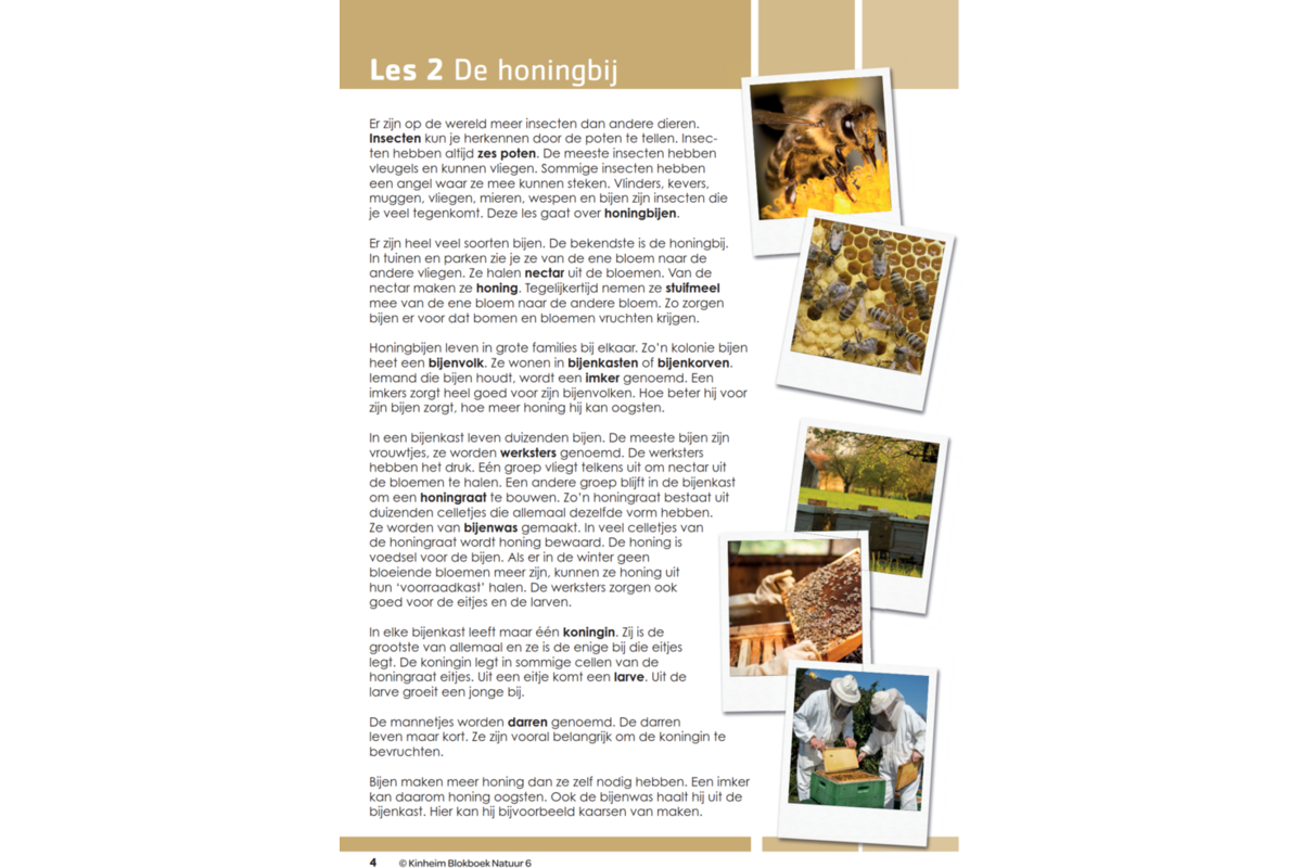 Blokboek natuur groep 6 (5 stuks)