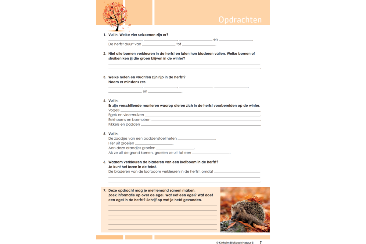 Blokboek natuur groep 6 (5 stuks)