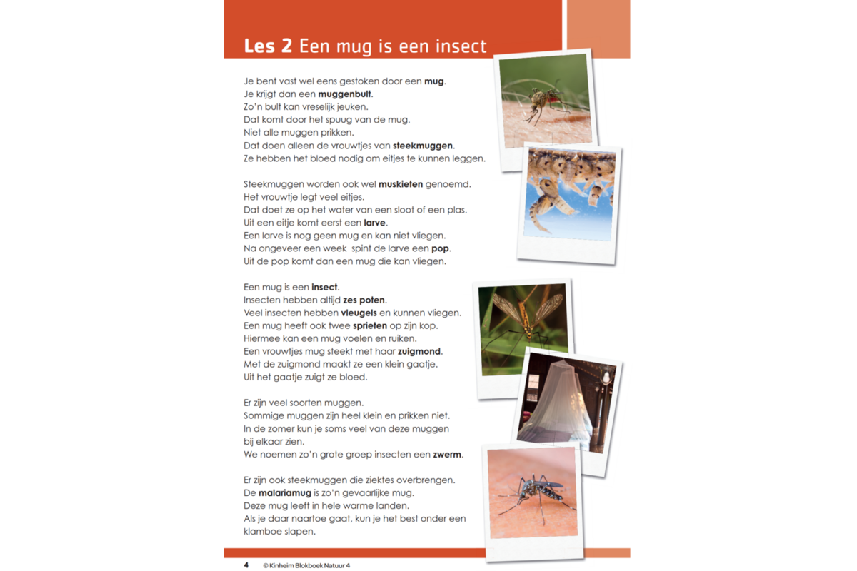 Blokboek natuur groep 4 (5 stuks)