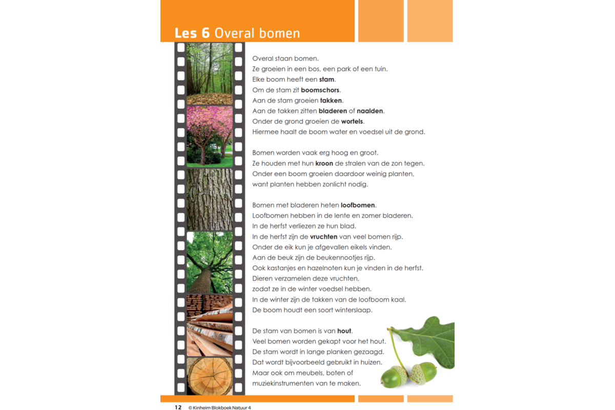 Blokboek natuur groep 4 (5 stuks)