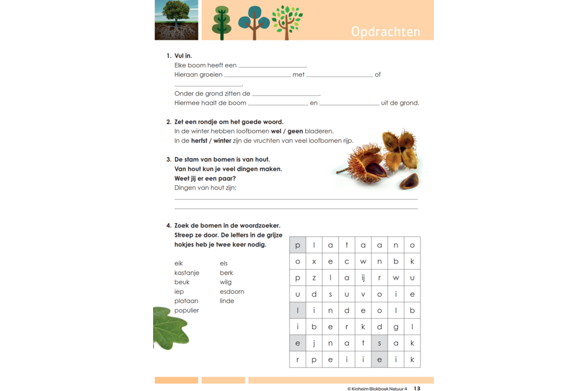 Blokboek natuur groep 4 (5 stuks)
