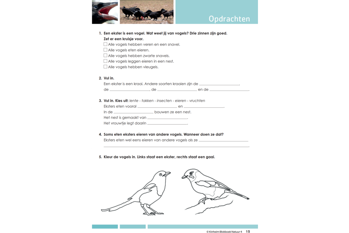 Blokboek natuur groep 4 (5 stuks)