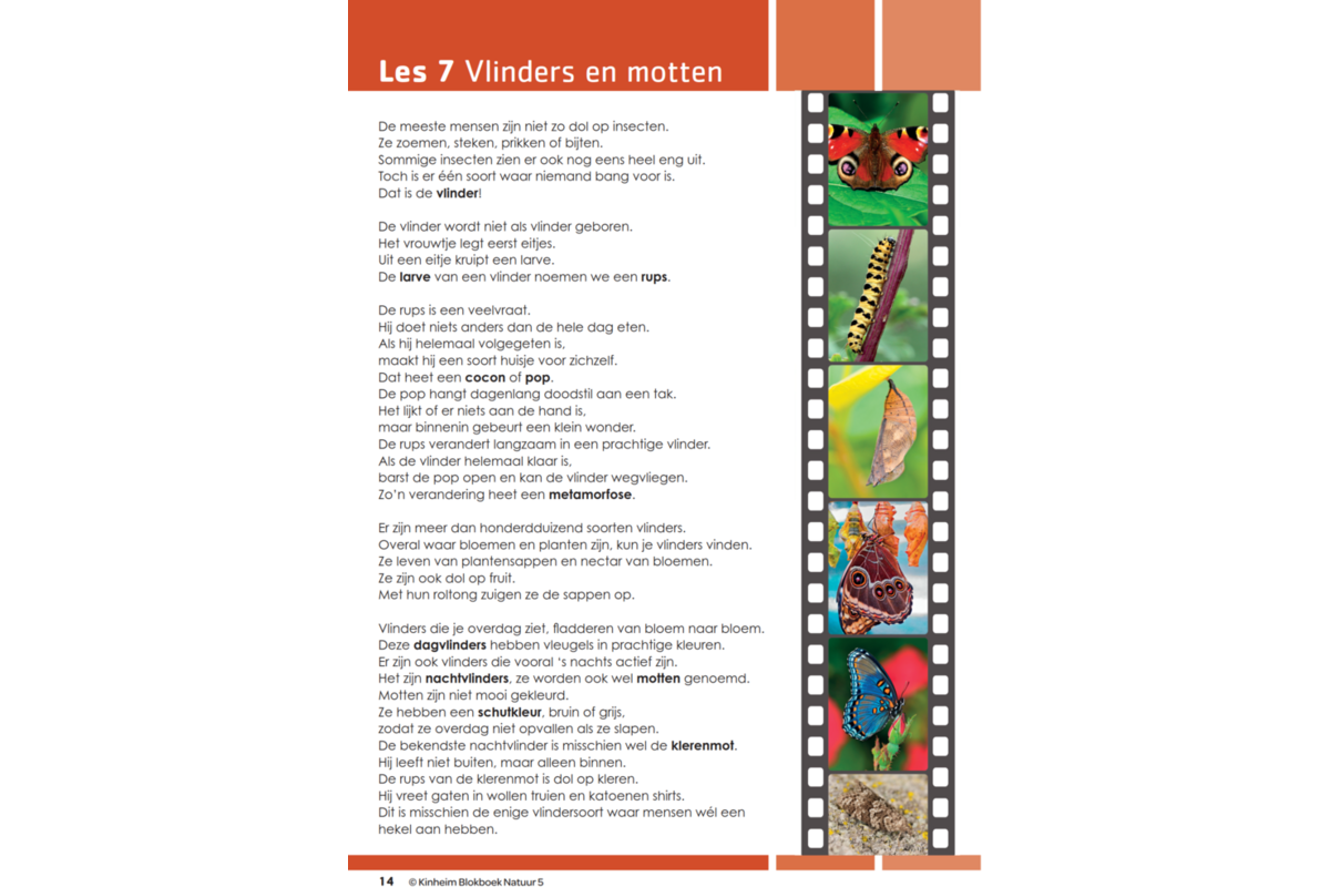 Blokboek natuur groep 5 (5 stuks)
