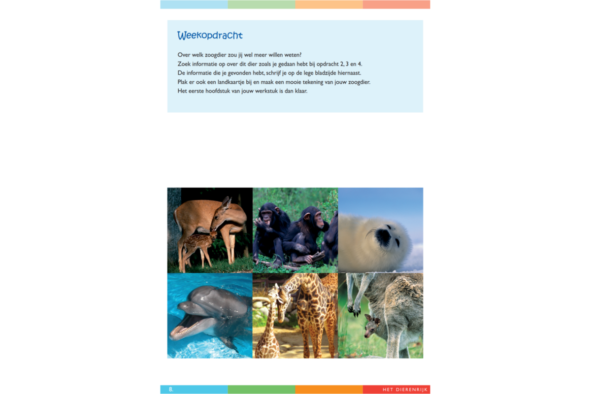 Dierenrijk werkgids (5 stuks)