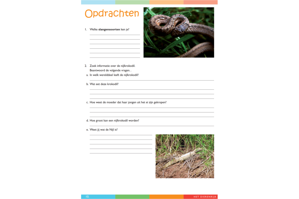 Dierenrijk werkgids (5 stuks)