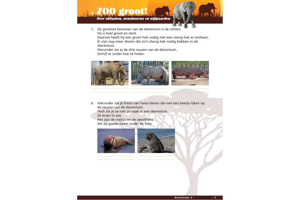 Zo in de Zoo werkgids (5 stuks)
