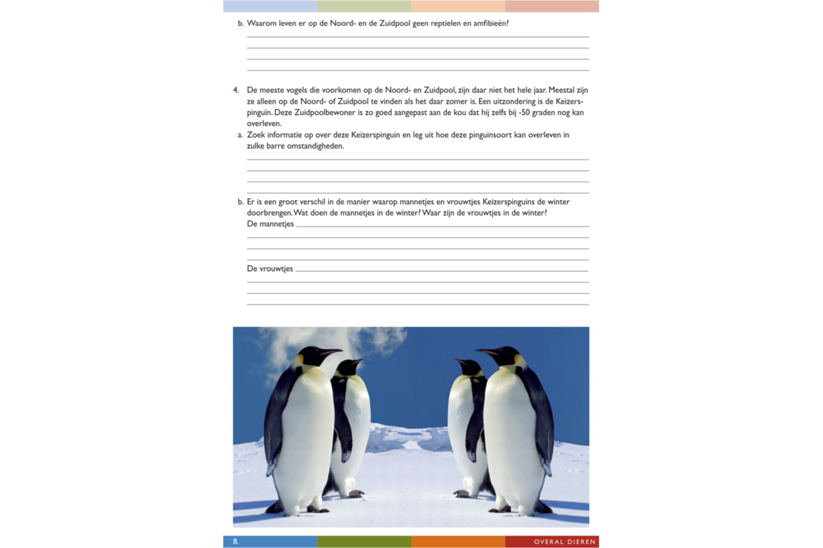 Overal dieren werkgids (5 stuks)