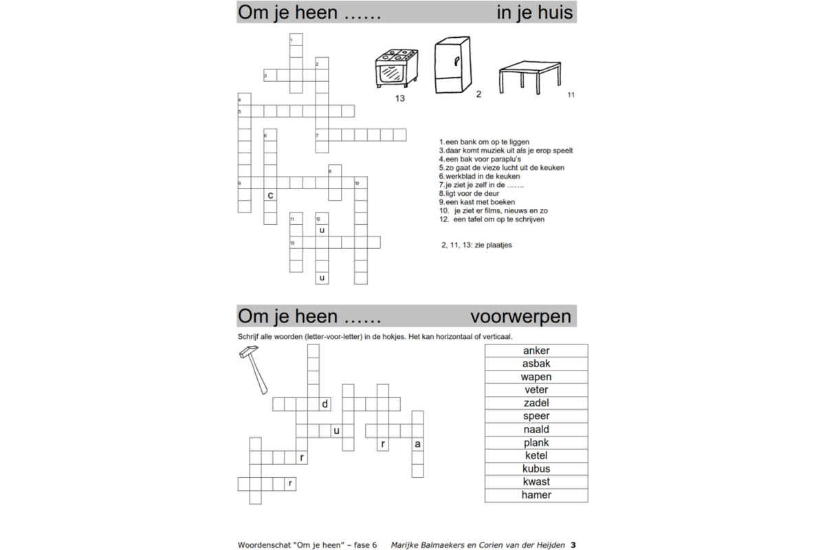 Woordenschat fase 6 (5 stuks)