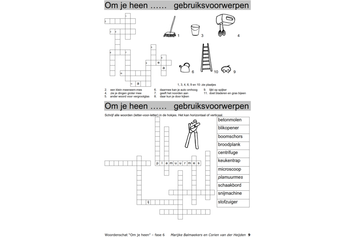 Woordenschat fase 6 (5 stuks)