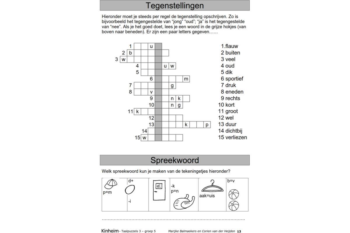 Taalpuzzels 3 groep 5 (5 stuks)